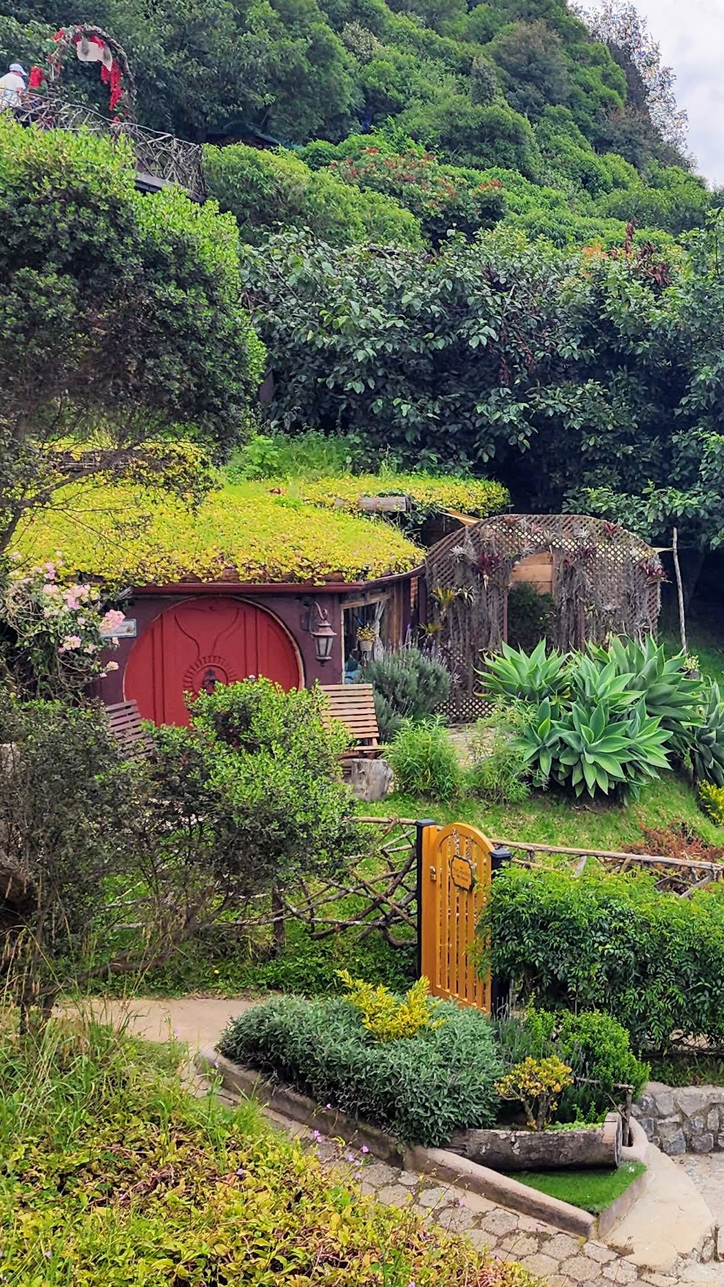 Messenger_creation_72B6BB75-B20B-4DFE-9209-28248A91A9EC