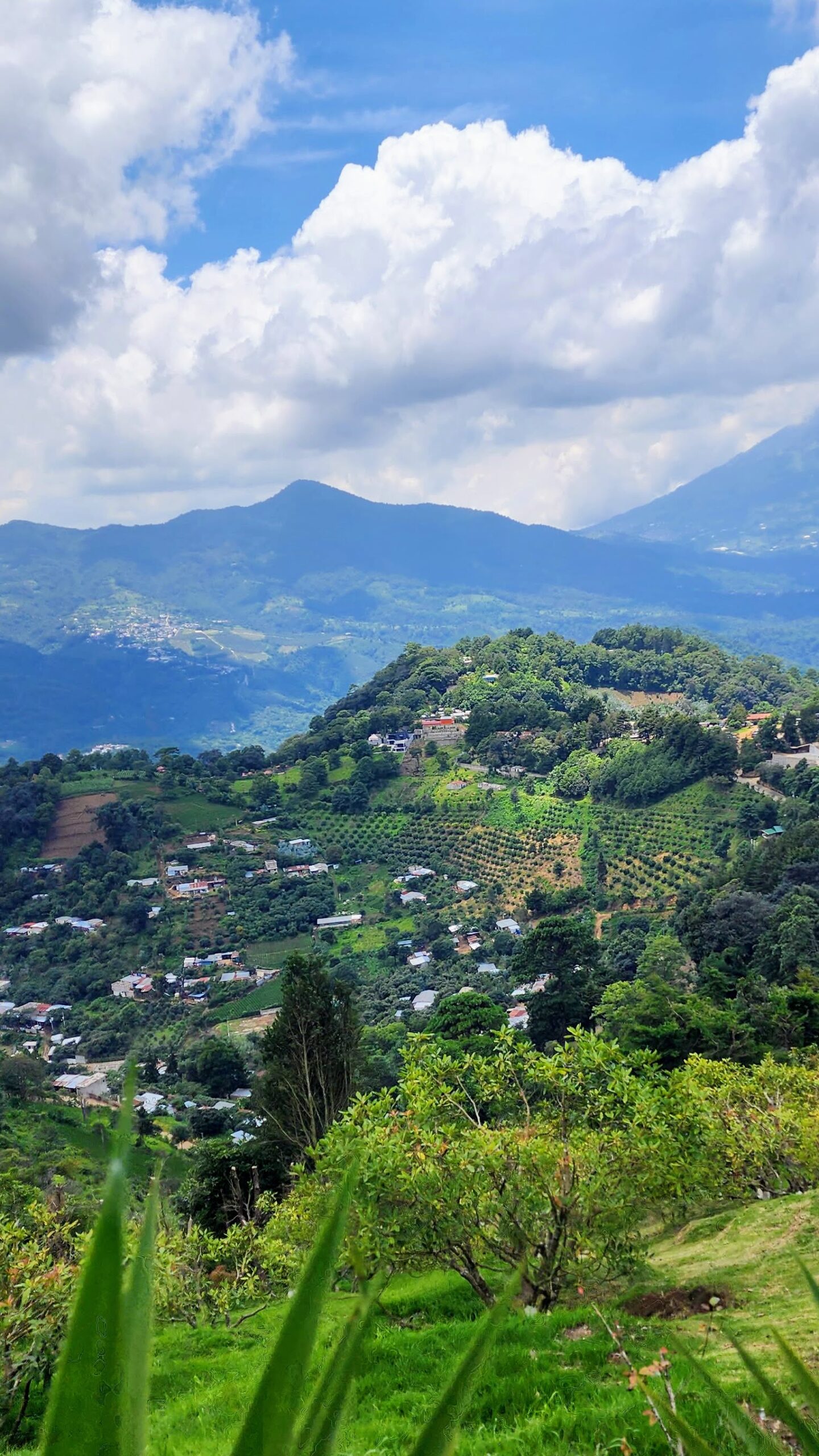 Messenger_creation_750DEF29-21B0-4FEE-AA54-9A78746604E6