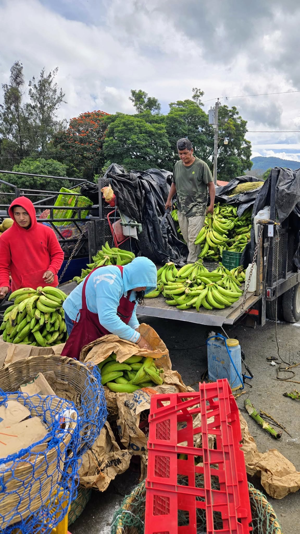 Messenger_creation_791D445A-7DC7-4A12-9452-AC85EE5FFE4B