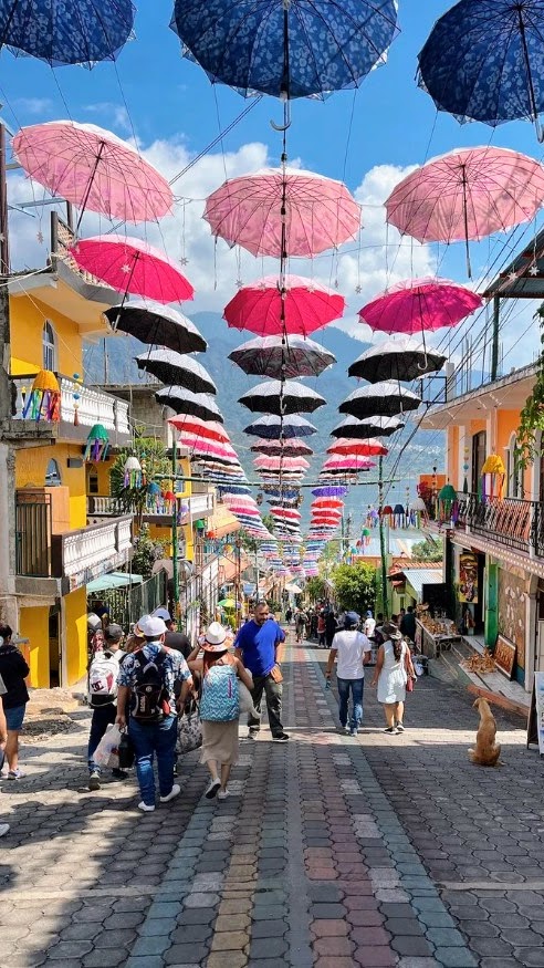 Screenshot 2025-11-13 203011